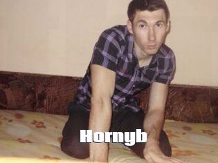 Hornyb
