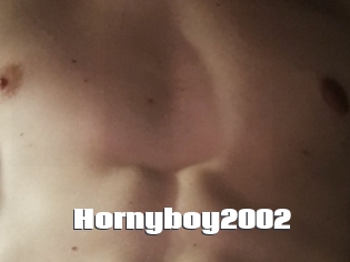 Hornyboy2002