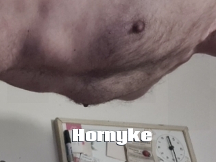 Hornyke