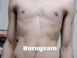 Hornysam