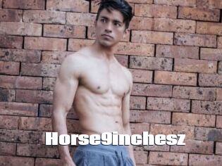 Horse9inchesz