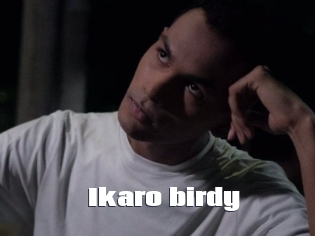 Ikaro_birdy