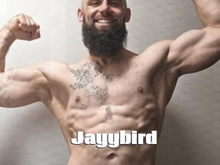 Jayybird