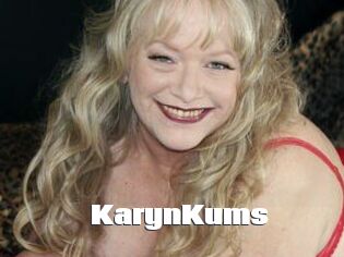 KarynKums