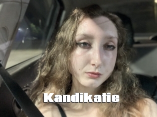 Kandikatie