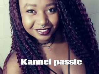 Kannel_passie