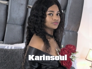 Karinsoul