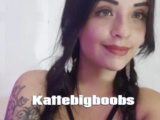 Kattebigboobs