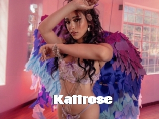 Kattrose