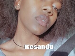 Kesandu