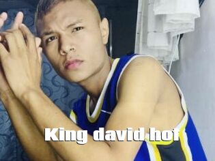 King_david_hot