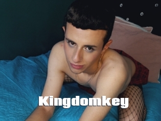 Kingdomkey