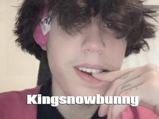 Kingsnowbunny