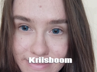 Kriisboom