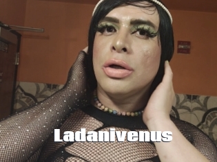 Ladanivenus