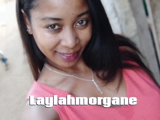 Laylahmorgane