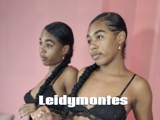 Leidymontes