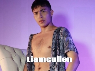 Liamcullen