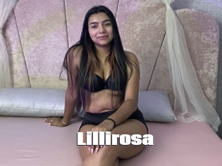 Lillirosa