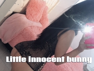 Little_innocent_bunny