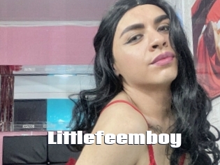 Littlefeemboy