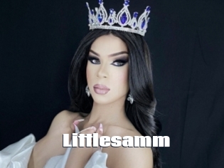 Littlesamm