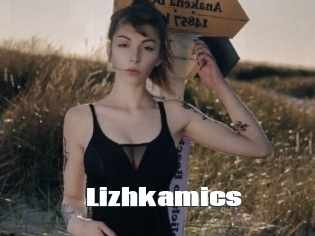 Lizhkamics