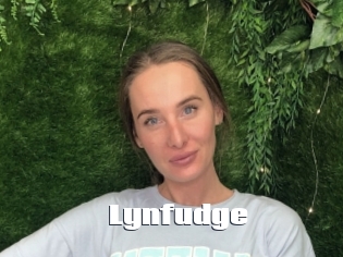 Lynfudge