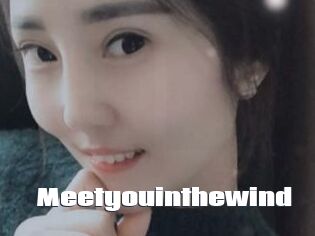 Meetyouinthewind