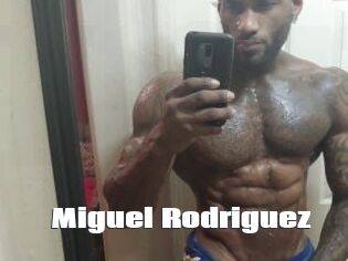 Miguel_Rodriguez