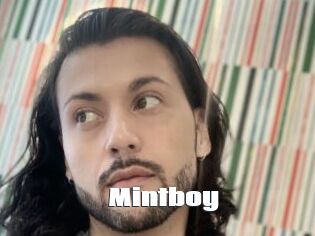 Mintboy