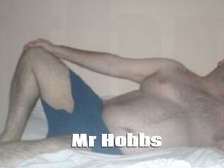 Mr_Hobbs