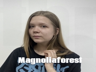 Magnoliaforest