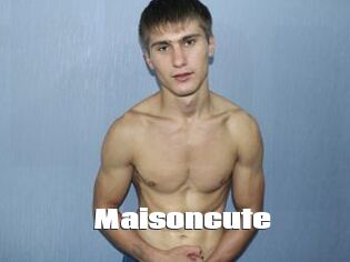 Maisoncute