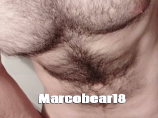 Marcobear18