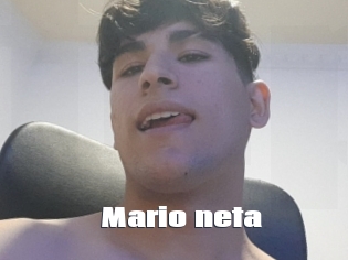 Mario_neta