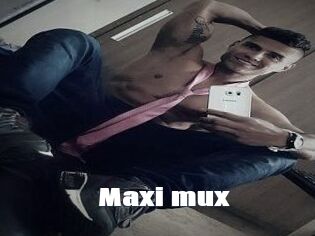 Maxi_mux