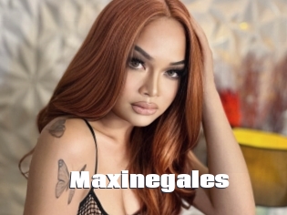 Maxinegales
