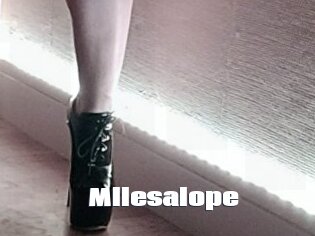 Mllesalope