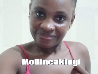 Mollineakinyi