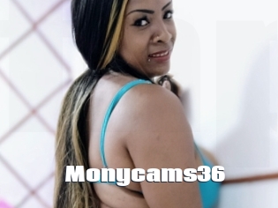 Monycams36