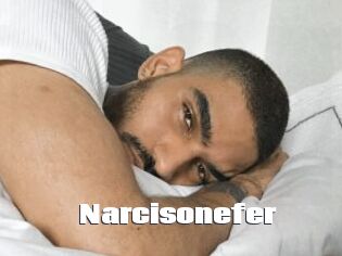 Narcisonefer