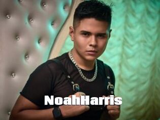 NoahHarris