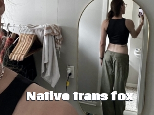 Native_trans_fox