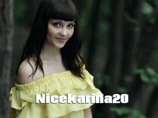 Nicekarina20