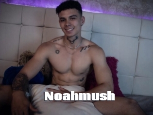 Noahmush