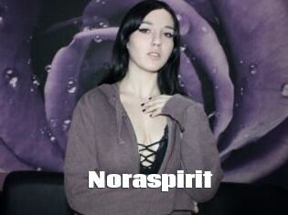 Noraspirit