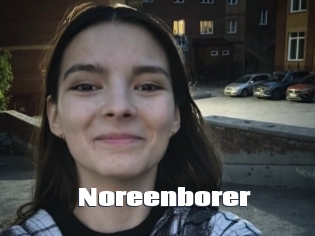 Noreenborer