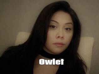_Owlet_