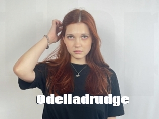 Odeliadrudge